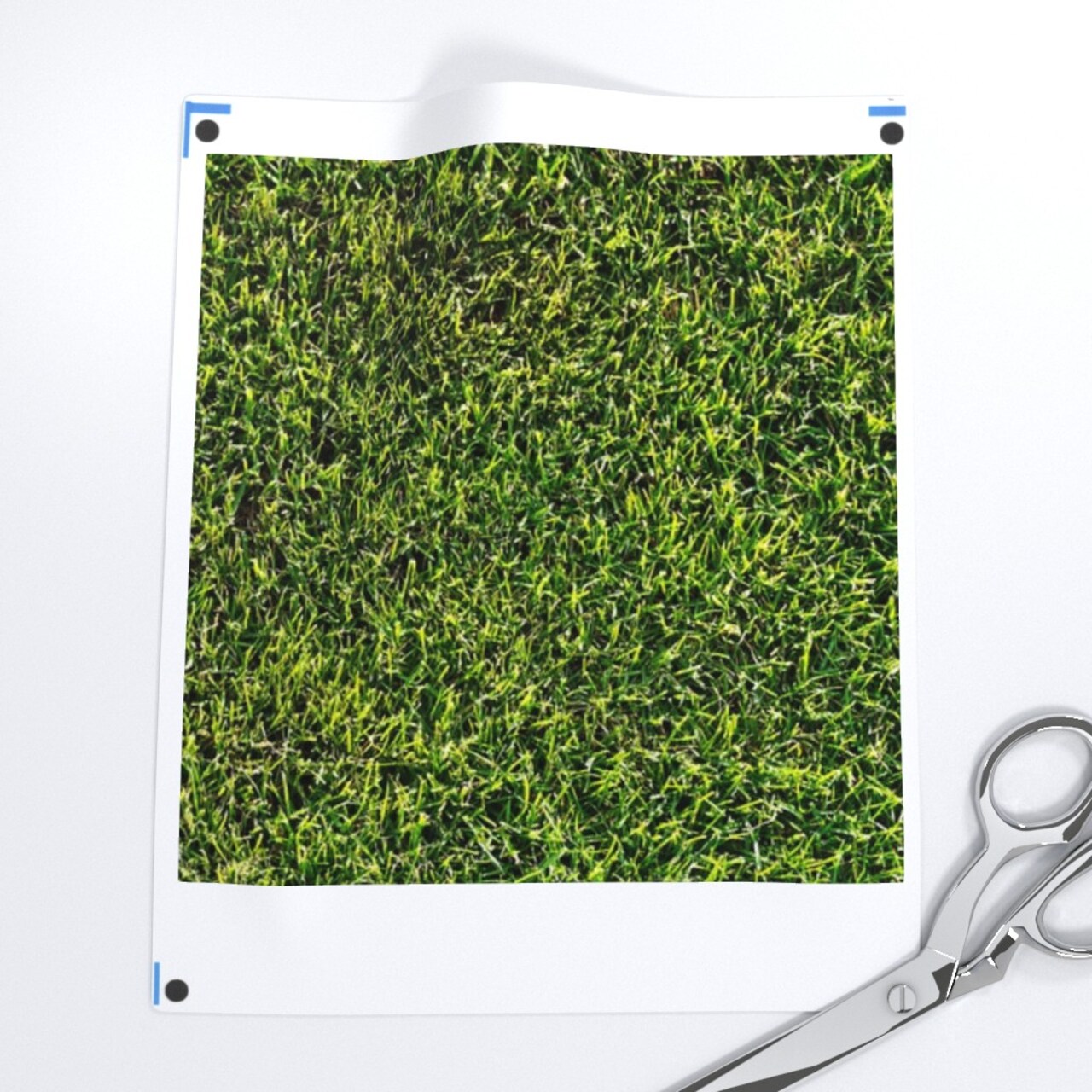 Lawn Grass Green Custom Printed Fabric by Spoonflower Various Fabrics by the Yard or Fat Quarter